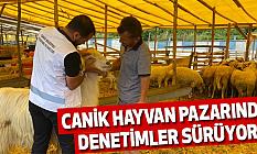 Canik Hayvan Pazarında Denetimler Sürüyor
