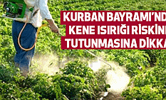 Kurban Bayramı’nda Kene tutunmasına Dikkat