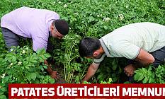 Patates üreticileri memnun