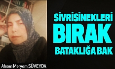 Sivrisinekleri Bırak Bataklığa Bak