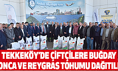 Tekkeköy’de çiftçilere buğday, yonca ve reygras tohumu dağıtıldı