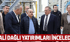 Vali Dağlı yatırımları inceledi