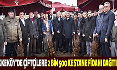 Tekkeköy’de çiftçilere 2 bin 500 kestane fidanı dağıtıldı