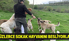Yüzlerce Sokak Hayvanını Besliyorlar